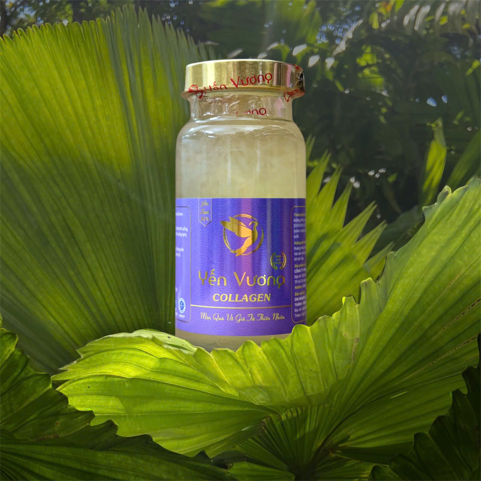 Hũ yến Vương 140ml Collagen